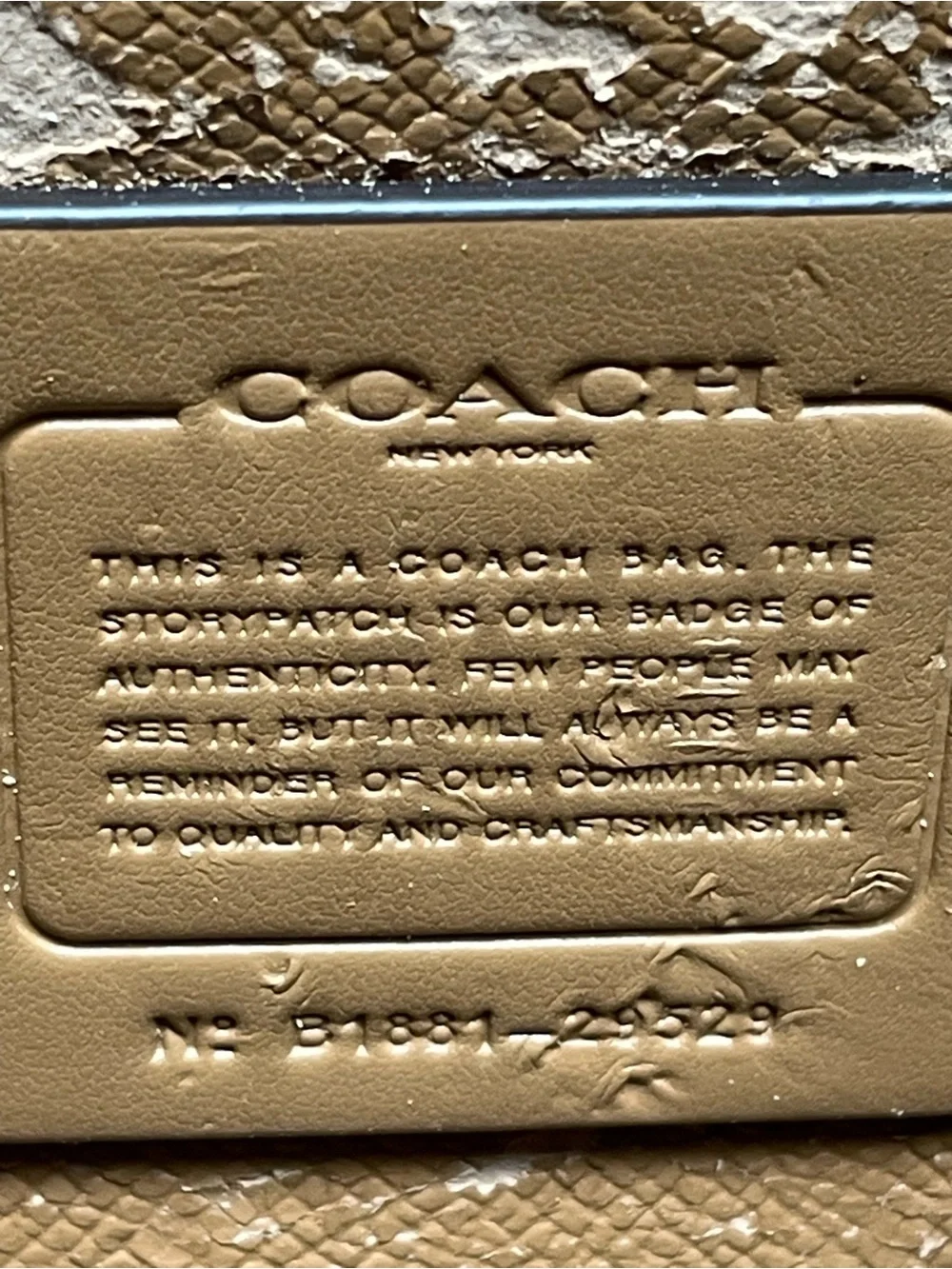 Coach project charlie